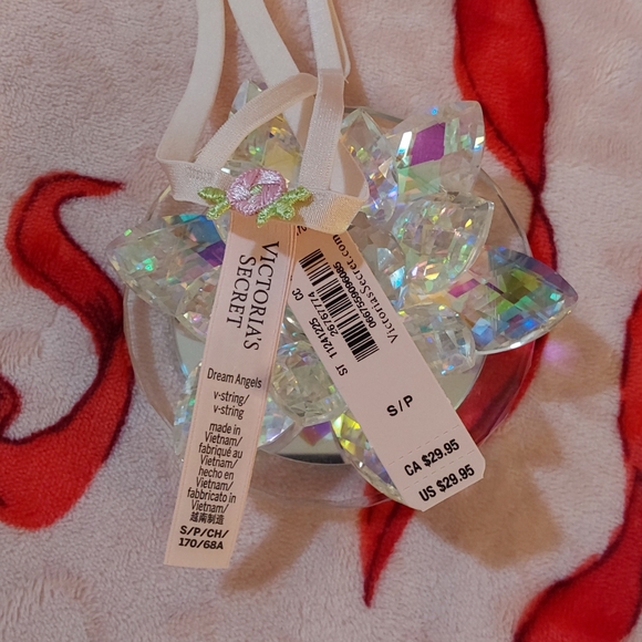 💐 S 💕 VS Dream Angels Rosebud Embroidery Crotchless V-String Panty 💐 - Picture 11 of 16